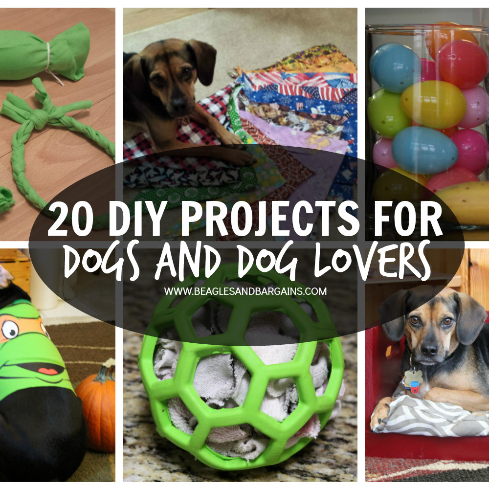 Best ideas about DIY Dog Projects
. Save or Pin 20 DIY Projects for Dogs and Dog Lovers Now.