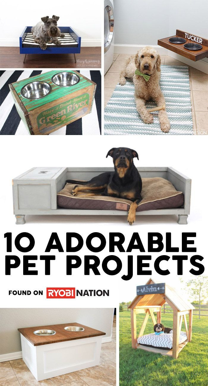 Best ideas about DIY Dog Projects
. Save or Pin 847 best DIY Dog Projects images on Pinterest Now.