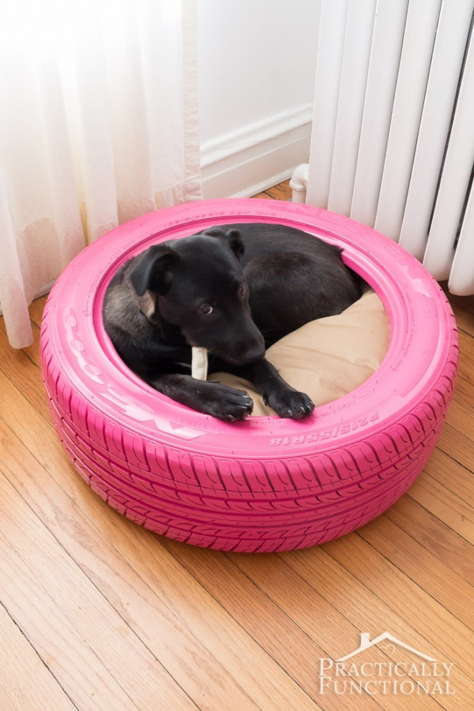 Best ideas about DIY Dog Projects
. Save or Pin 12 Amazing DIY Dog Beds Now.