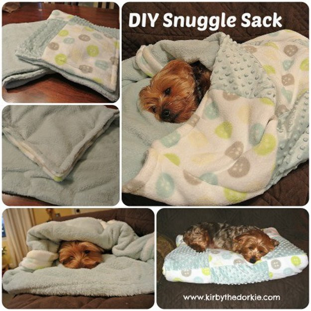 Best ideas about DIY Dog Projects
. Save or Pin DIY Pet Project Ideas DIY Projects Craft Ideas & How To’s Now.