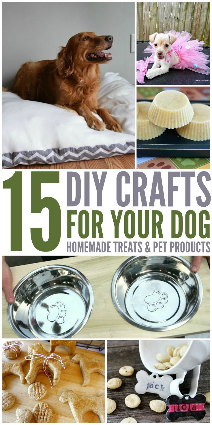 Best ideas about DIY Dog Projects
. Save or Pin 15 DIY Crafts For Your Dog Now.