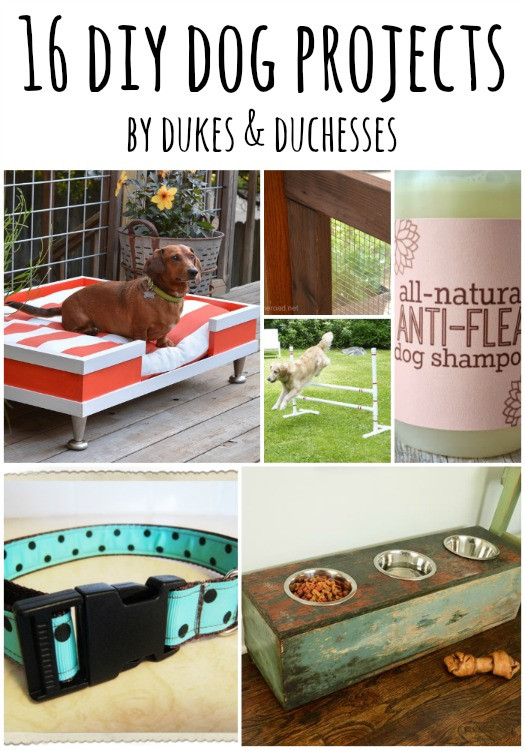 Best ideas about DIY Dog Projects
. Save or Pin Diy Shampoo Chairs Now.