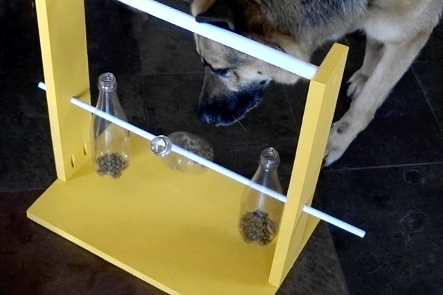 Best ideas about DIY Dog Puzzles
. Save or Pin How to Make A Spinning Bottle Puzzle Feeder For Dogs Now.
