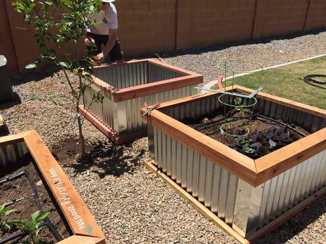 Best ideas about DIY Elevated Planter Box
. Save or Pin DIY Raised Garden Beds with Corrugated Metal Now.