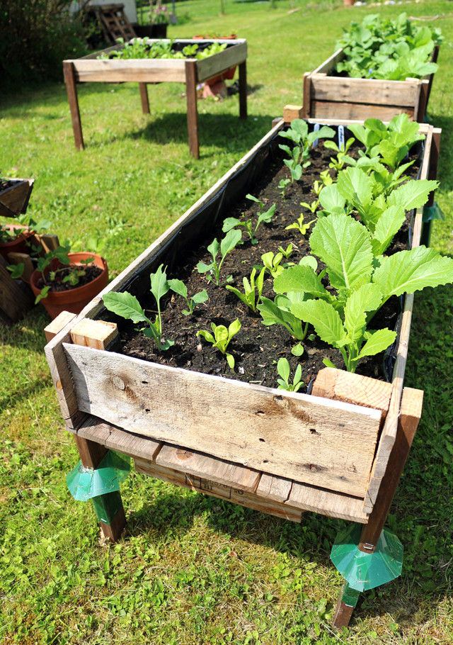 Best ideas about DIY Elevated Planter Box
. Save or Pin CONTAINER GARDENING Easy DIY Elevated Planter Box from Pallet Now.