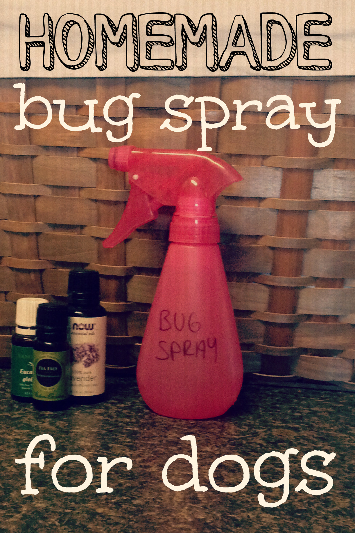 Best ideas about DIY Flea Spray For Dogs
. Save or Pin Homemade Bug Spray for Dogs Now.
