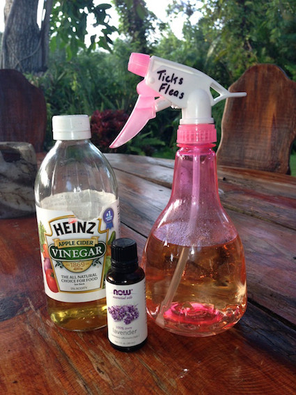 Best ideas about DIY Flea Spray For Dogs
. Save or Pin Diy Flea And Tick Spray For Dogs Diy Do It Your Self Now.