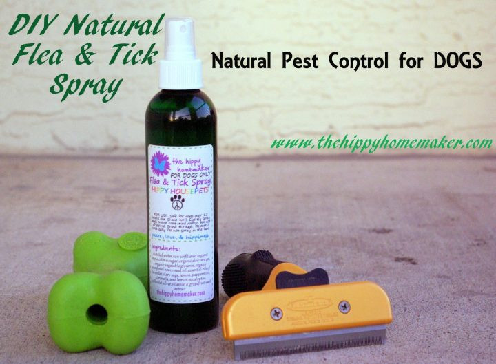 Best ideas about DIY Flea Spray For Dogs
. Save or Pin DIY Natural Flea & Tick Spray Natural Pest Control For Now.