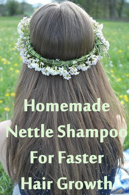 Best ideas about DIY Hair Growth Shampoo
. Save or Pin Homemade Nettle Shampoo for faster hair growth Now.