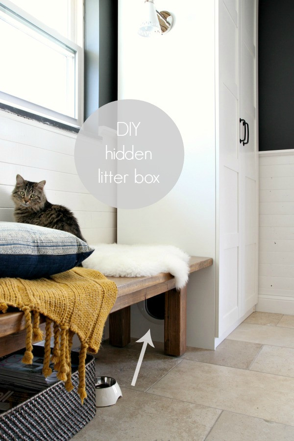 Best ideas about DIY Hidden Litter Box
. Save or Pin DIY Hidden Litter Box House Tweaking Now.