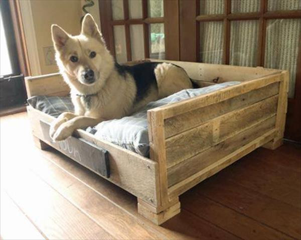 Best ideas about DIY Pallet Dog Bed
. Save or Pin 8 DIY Pallet Beds For Dogs Now.