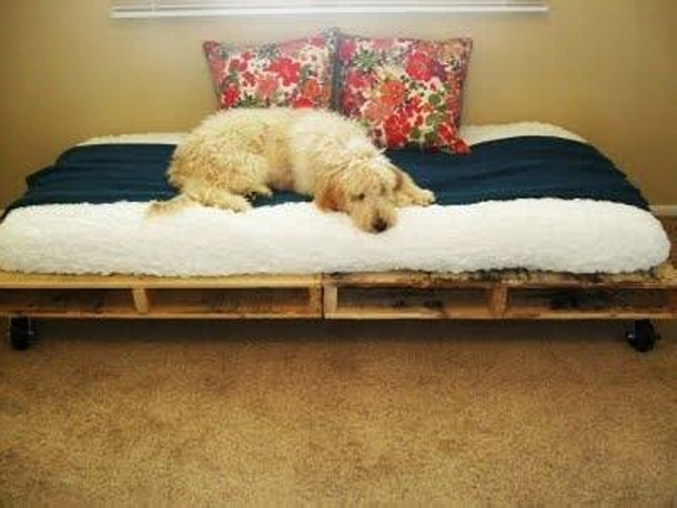 Best ideas about DIY Pallet Dog Bed
. Save or Pin Pallet Made Dog Beds and Houses Now.