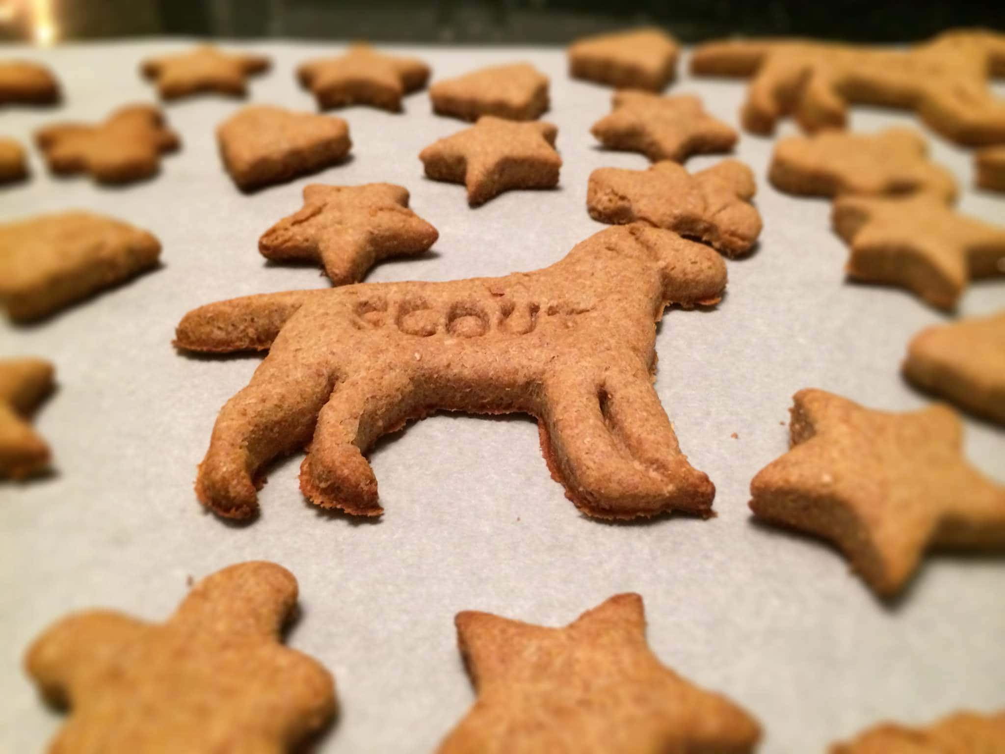 Dog Biscuits