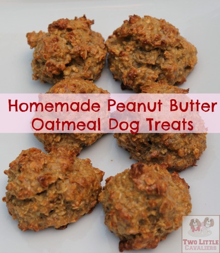 Best ideas about DIY Peanut Butter Dog Treats
. Save or Pin Homemade Dog Treats Peanut Butter Oatmeal Two Little Now.