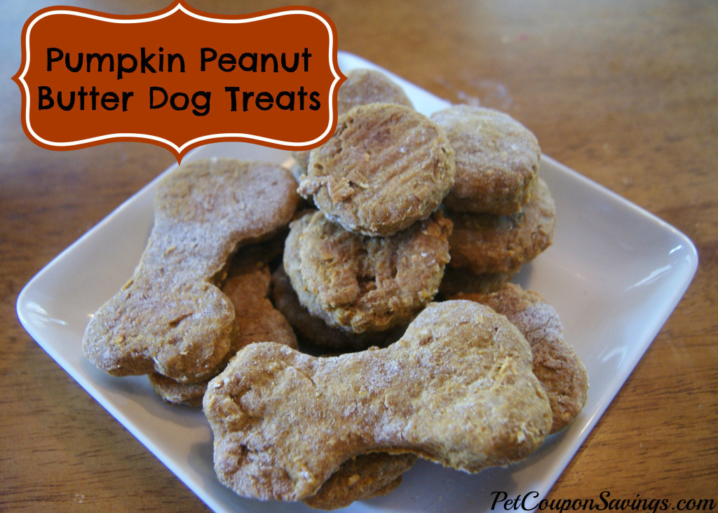 Best ideas about DIY Peanut Butter Dog Treats
. Save or Pin Homemade Pumpkin Peanut Butter Dog Treats Pet Coupon Savings Now.