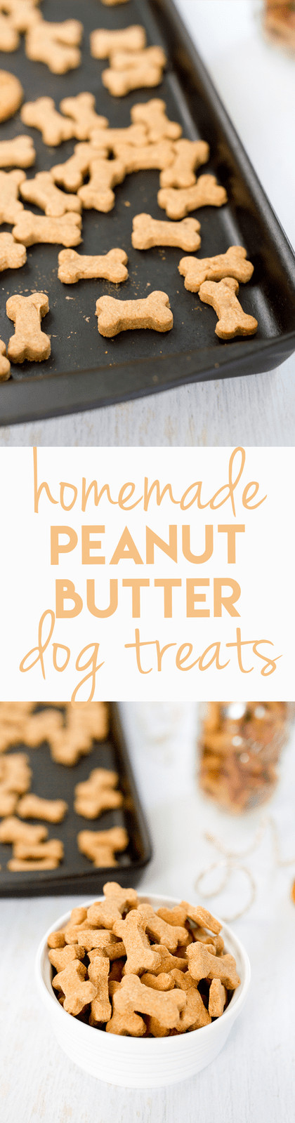 Best ideas about DIY Peanut Butter Dog Treats
. Save or Pin Homemade Peanut Butter Dog Treats Now.