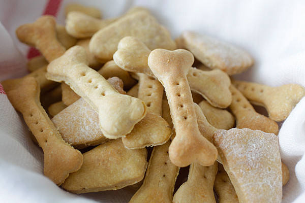 Best ideas about DIY Peanut Butter Dog Treats
. Save or Pin DIY Your Dog Will Go Nuts For These Homemade Peanut Now.