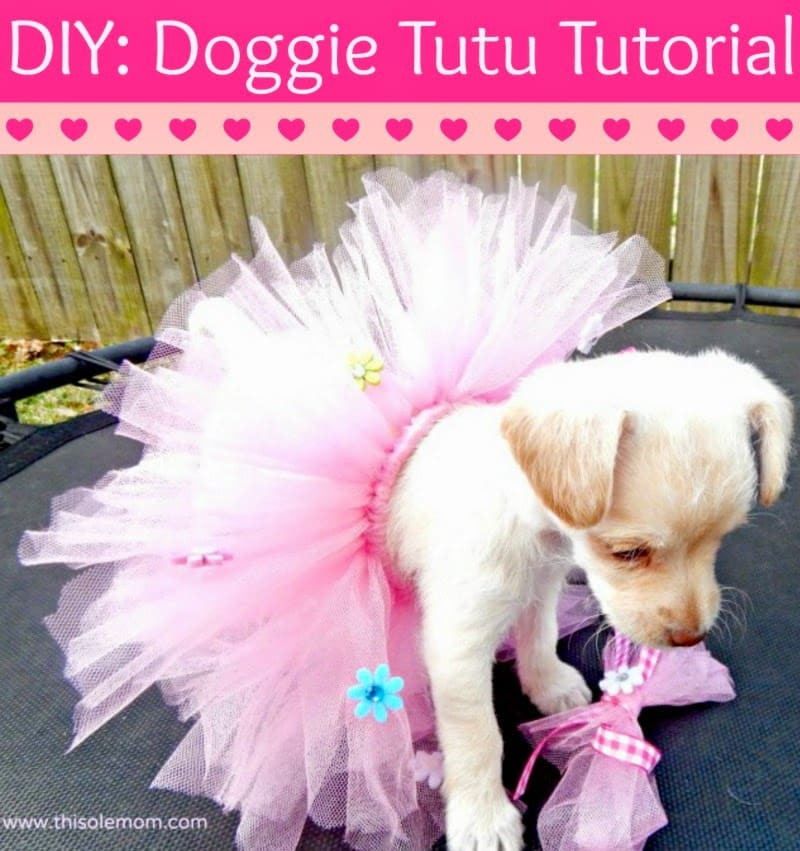 Best ideas about Dog Tutu DIY
. Save or Pin DIY Doggie Tutu Tutorial This Ole Mom Now.