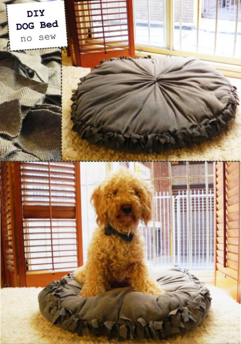Best ideas about Easy DIY Dog Bed
. Save or Pin 15 No Sew DIY Pet Beds For Your Best Friend Now.