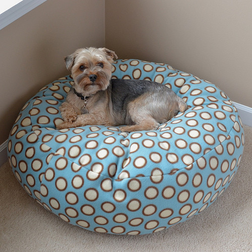 Best ideas about Easy DIY Dog Bed
. Save or Pin DIY Bean Bag Dog Bed petdiys Now.