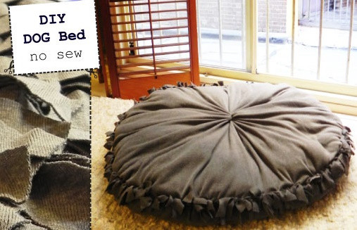 Best ideas about Easy DIY Dog Bed
. Save or Pin Life in the Whole – Wholly life after cancer Now.