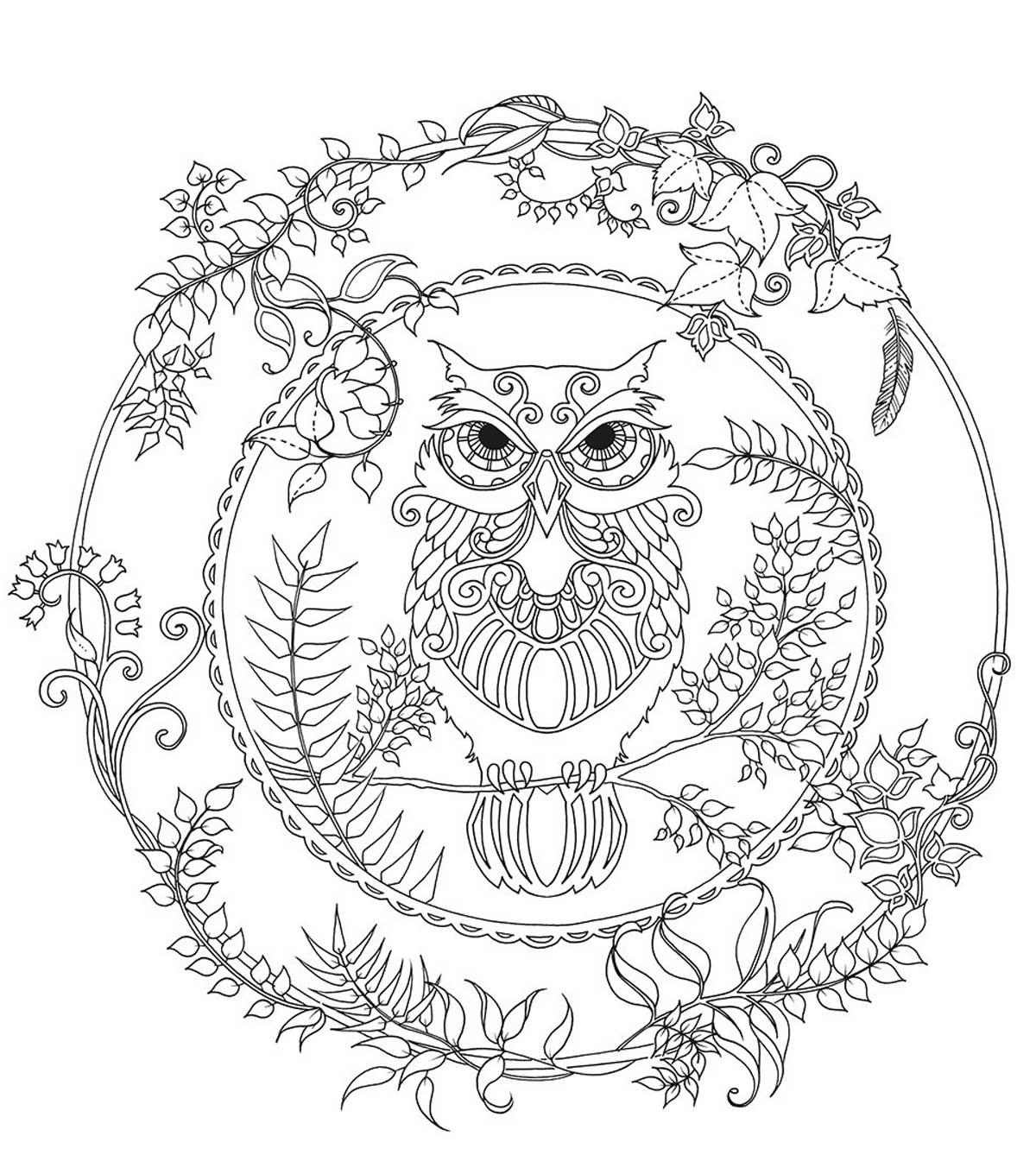 Best ideas about Enchanted Forest Coloring Sheets For Kids
. Save or Pin Chronicle Books Enchanted Forest Coloring Book JoAnn Now.