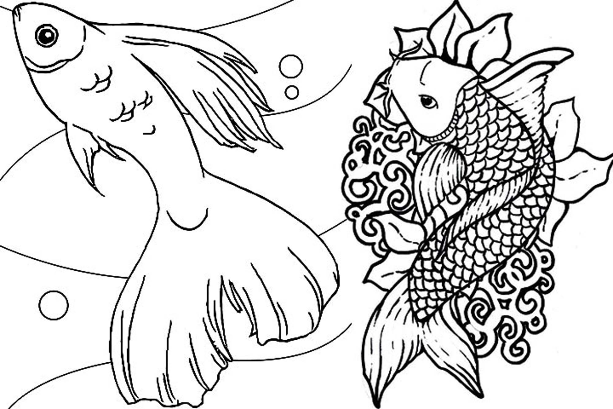 Best ideas about Fish Coloring Pages For Boys
. Save or Pin Print & Download Cute and Educative Fish Coloring Pages Now.