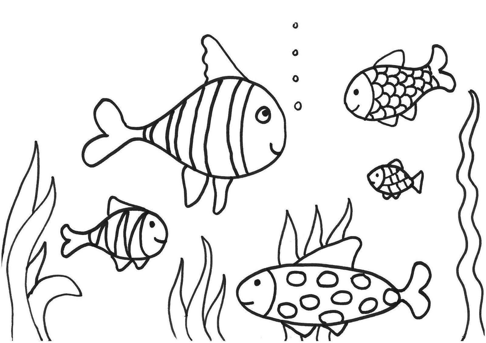 Best ideas about Fish Coloring Pages For Boys
. Save or Pin New Fish Colouring Picture 1 2 Coloring Pages Gallery For Now.