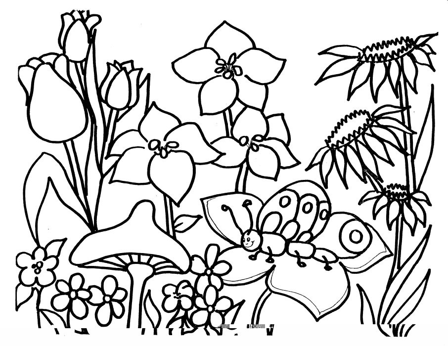 Best ideas about Flower Coloring Pages For Girls
. Save or Pin Coloring Pages of flowers " For Kids Girls Now.