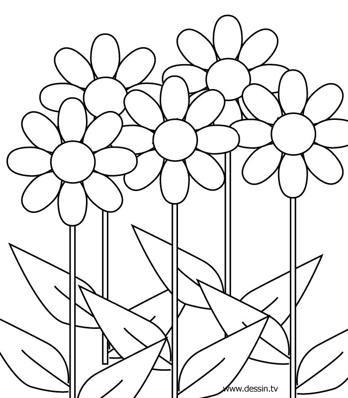 Best ideas about Flower Coloring Pages For Girls
. Save or Pin Coloring Pages For Girls With Flowers The Art Jinni Now.