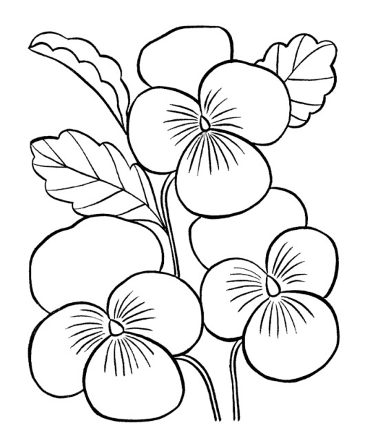 Best ideas about Flower Coloring Pages For Girls
. Save or Pin Easy Printable Flower Coloring Pages Flower Coloring Now.