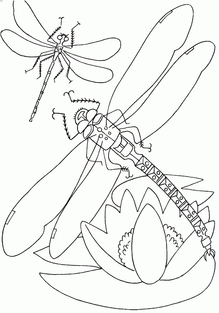 Best ideas about Free Coloring Pages For Kid
. Save or Pin Free Printable Dragonfly Coloring Pages For Kids Now.