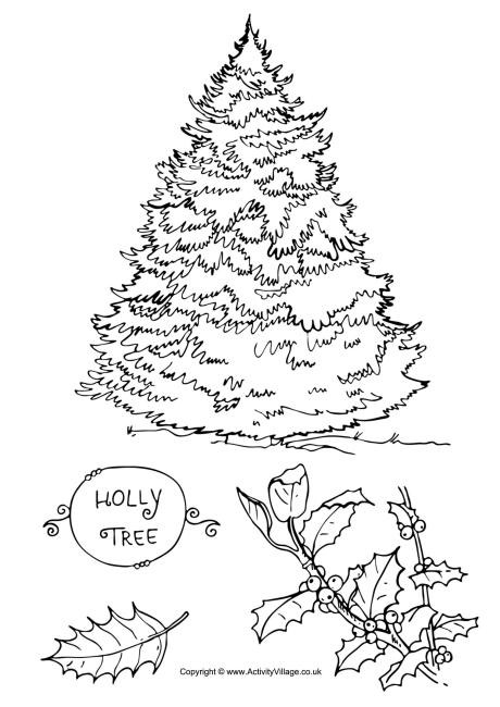 Best ideas about Free Printable Coloring Sheets For Adults Winter Pine Tree
. Save or Pin Holly Tree Colouring Page Now.