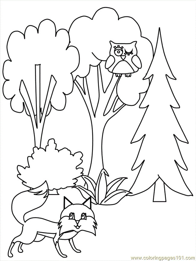 Best ideas about Free Printable Coloring Sheets For Adults Winter Pine Tree
. Save or Pin Pine Tree Coloring Pages Coloring Home Now.