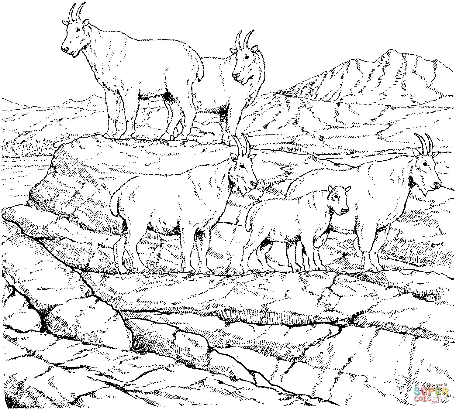 Best ideas about Free Printable Coloring Sheets Of Mountain Goats
. Save or Pin Mountain goat herd coloring page Now.