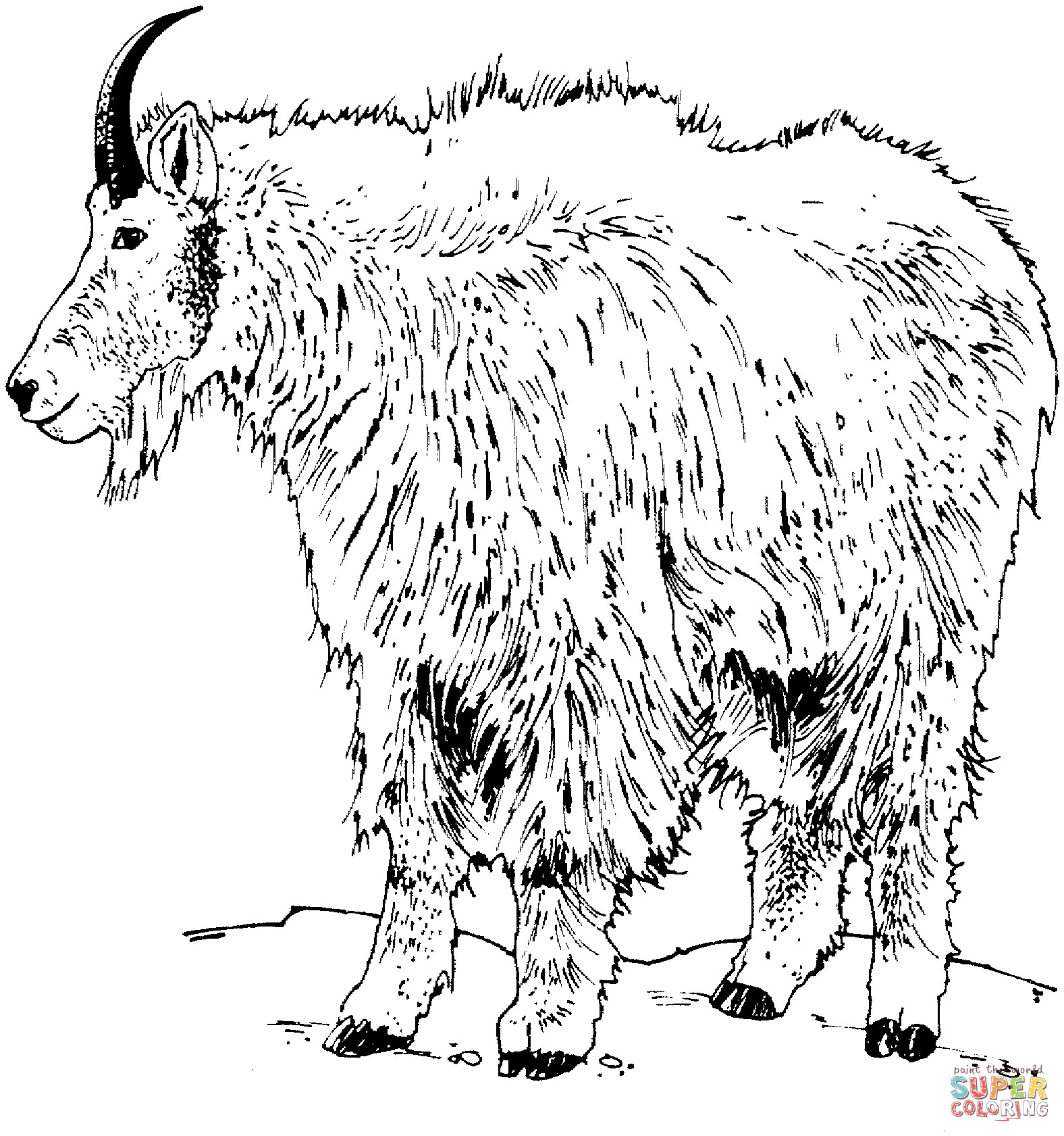 Best ideas about Free Printable Coloring Sheets Of Mountain Goats
. Save or Pin Realistic Rocky Mountain Goat coloring page Now.