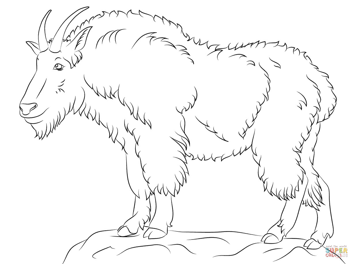 Best ideas about Free Printable Coloring Sheets Of Mountain Goats
. Save or Pin Mountain Goat coloring page Now.