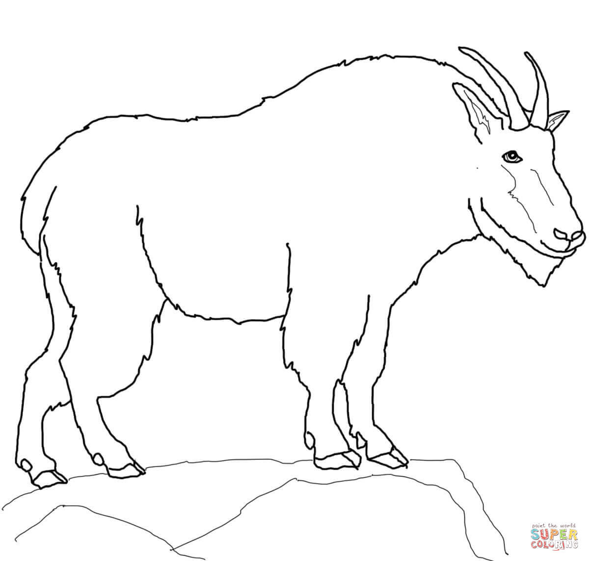 Best ideas about Free Printable Coloring Sheets Of Mountain Goats
. Save or Pin Mountain Goat coloring page Now.