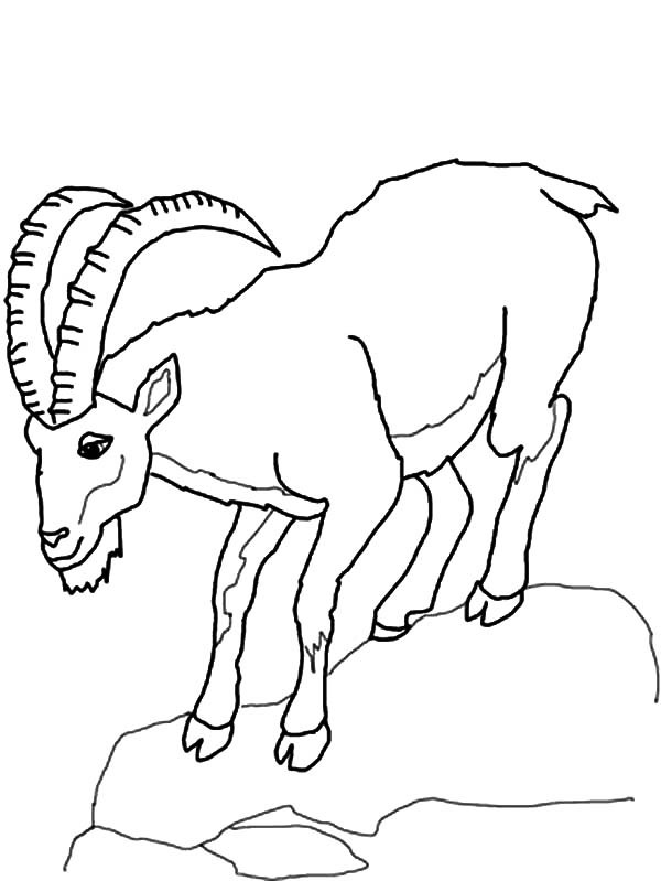 Best ideas about Free Printable Coloring Sheets Of Mountain Goats
. Save or Pin Mountain Goat Climb Down Hill Coloring Pages Now.