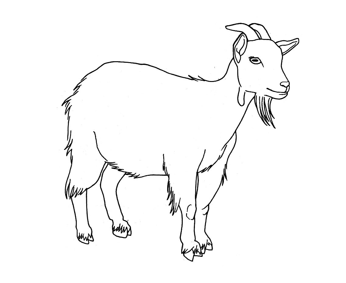 Best ideas about Free Printable Coloring Sheets Of Mountain Goats
. Save or Pin Free Printable Goat Coloring Pages For Kids Now.