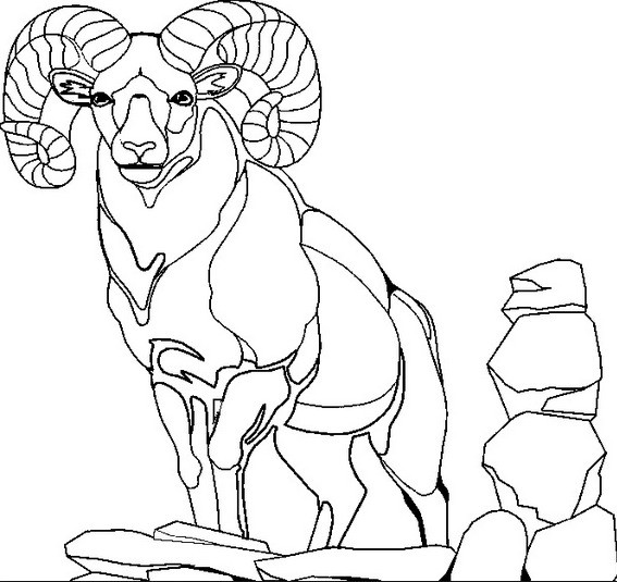 Best ideas about Free Printable Coloring Sheets Of Mountain Goats
. Save or Pin Mountain Goat Coloring Page & Coloring Book Now.