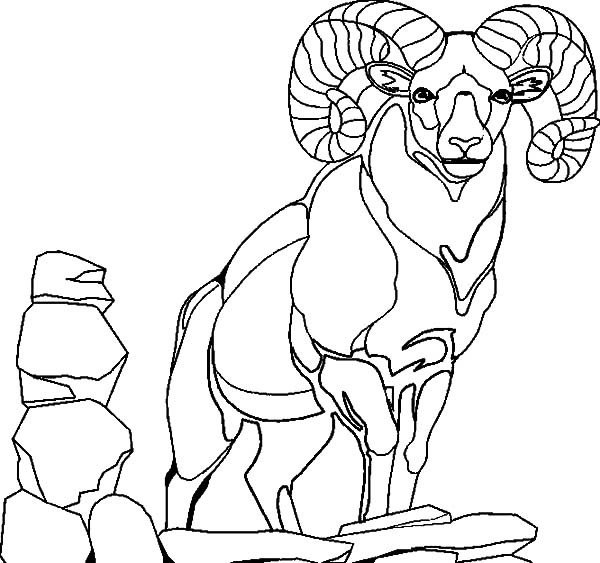 Best ideas about Free Printable Coloring Sheets Of Mountain Goats
. Save or Pin Free Printable Coloring Pages Part 24 Now.