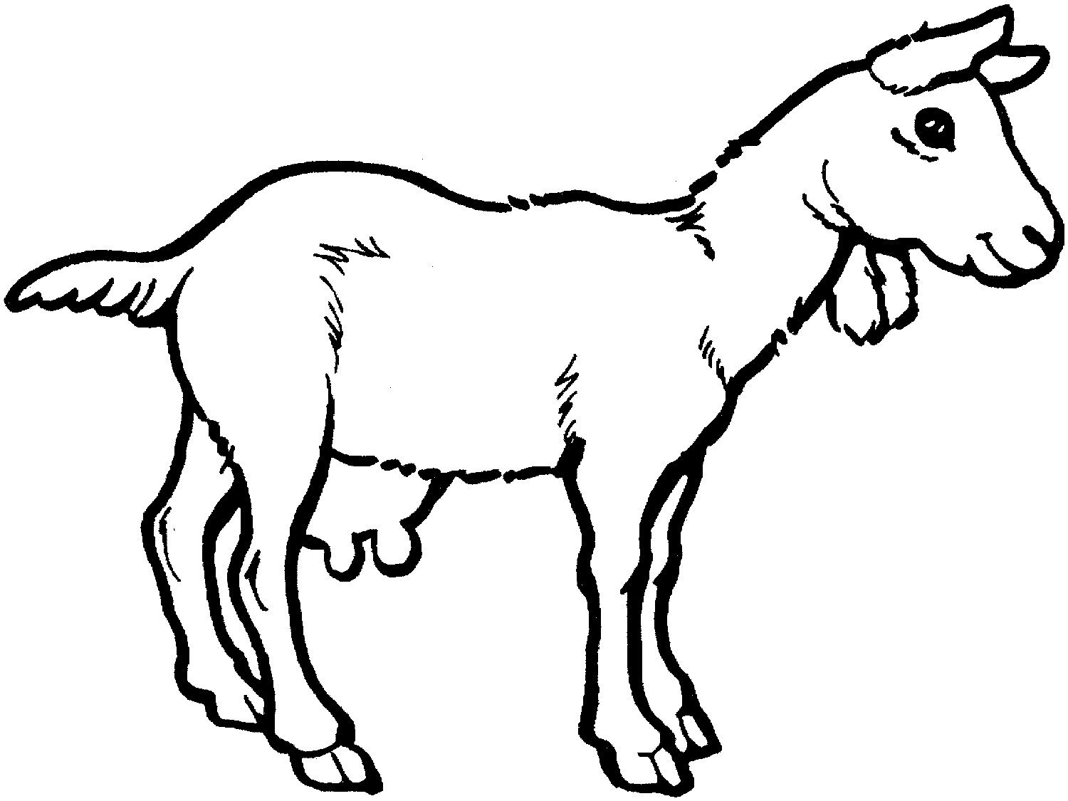 Best ideas about Free Printable Coloring Sheets Of Mountain Goats
. Save or Pin Free Printable Goat Coloring Pages For Kids Now.