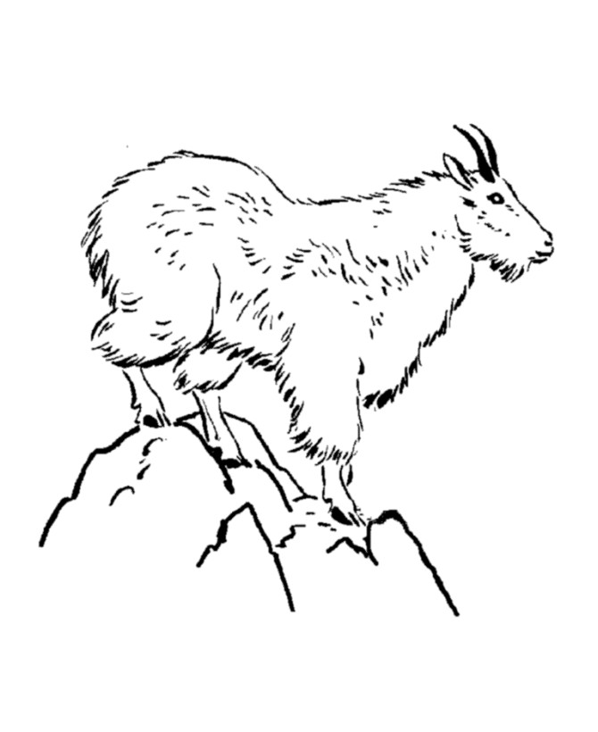 Best ideas about Free Printable Coloring Sheets Of Mountain Goats
. Save or Pin Image A Goat AZ Coloring Pages Now.