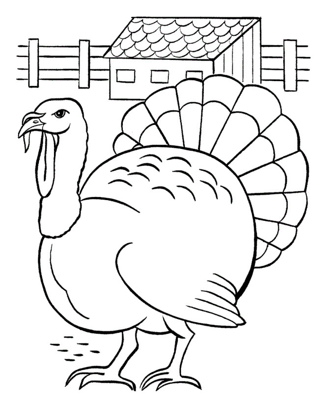 Best ideas about Free Printable Coloring Sheets Thanksgiving
. Save or Pin Free Printable Turkey Coloring Pages For Kids Now.