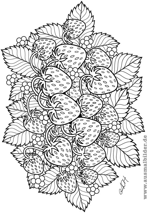 Best ideas about Fruit Coloring Pages For Adults
. Save or Pin 1000 images about fruits and ve ables on Pinterest Now.