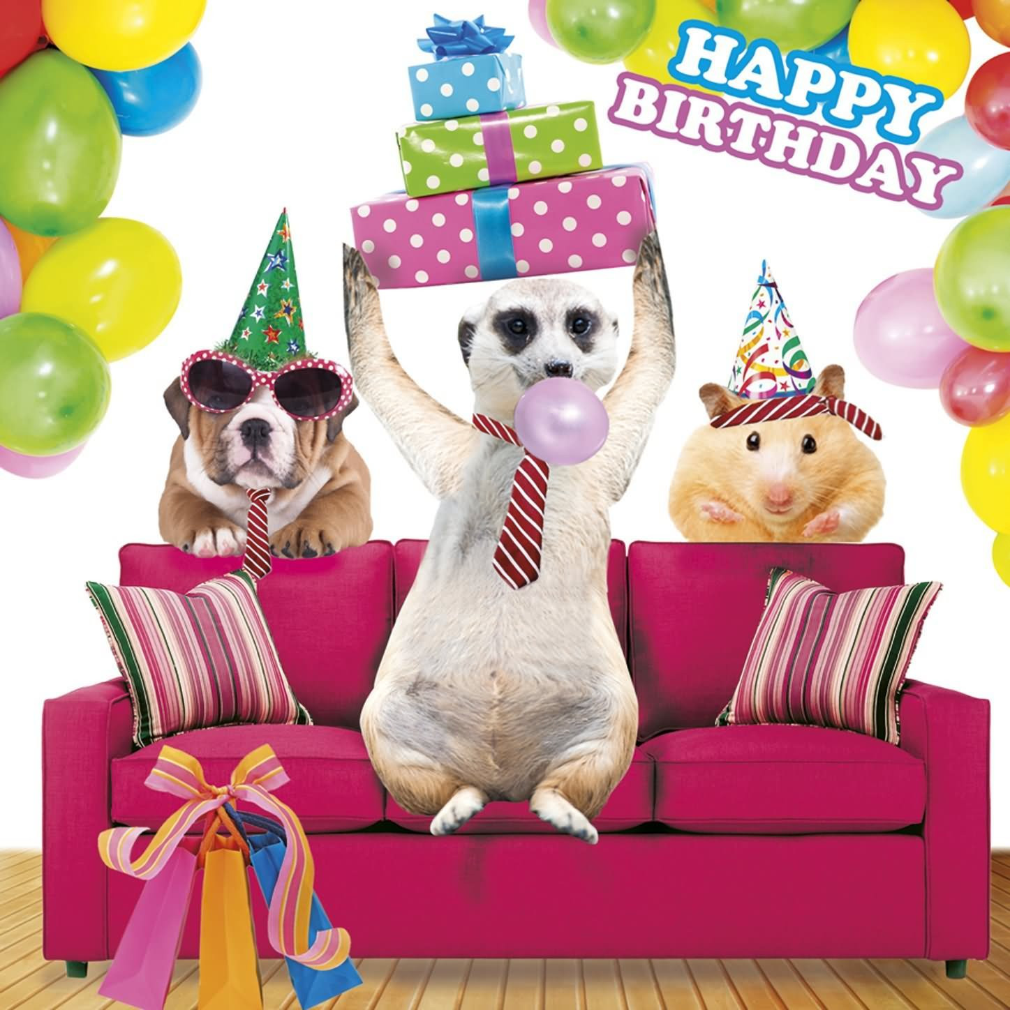 Best ideas about Funny Animal Birthday
. Save or Pin 20 Most Funny Birthday Now.