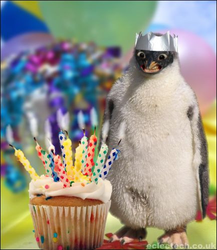 Best ideas about Funny Animal Birthday
. Save or Pin 20 Very Funny Birthday Animal And Now.