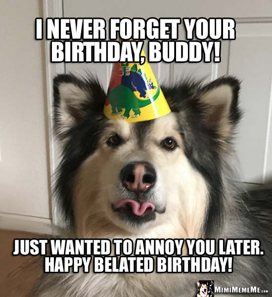 Best ideas about Funny Belated Birthday Memes
. Save or Pin 20 Funny Belated Birthday Memes For People Who Always Now.