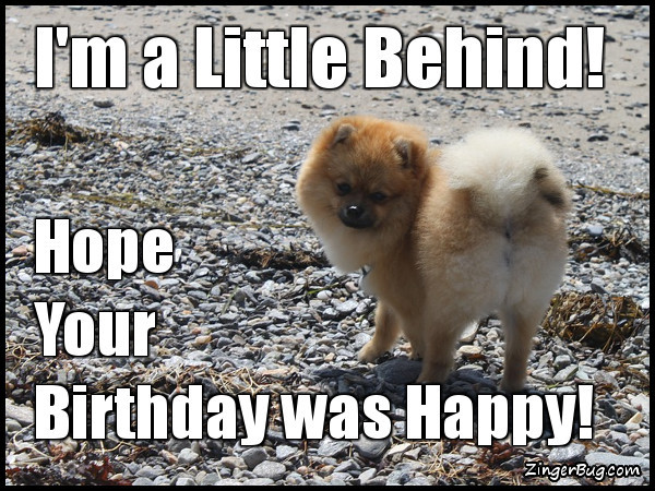 Best ideas about Funny Belated Birthday Memes
. Save or Pin Belated Birthday Glitter Graphics ments GIFs Memes Now.